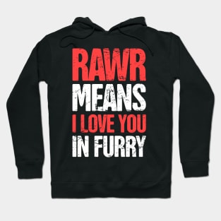 Funny Anthro Furry Fandom Fursuit Con Gift Hoodie